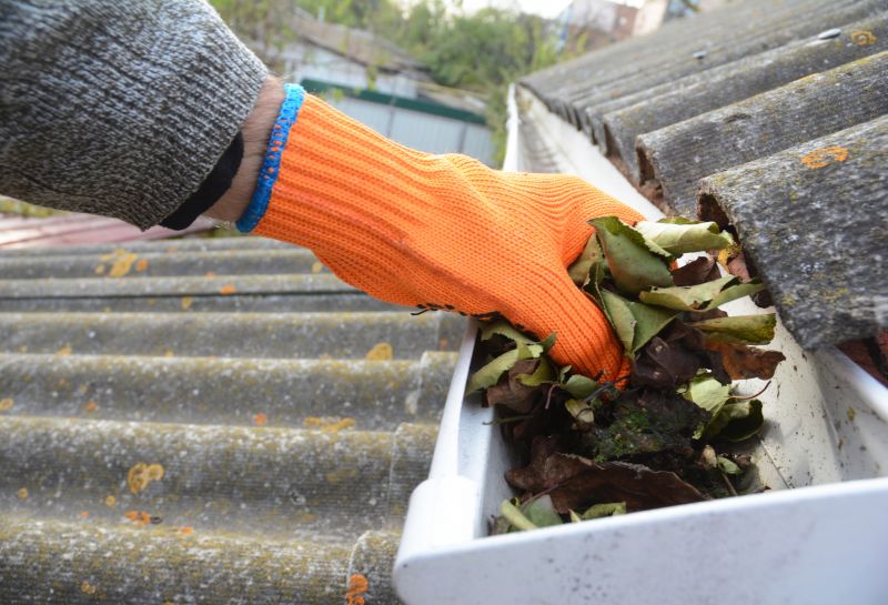 Gutter Leaf Clearing in Monmouth County, NJ