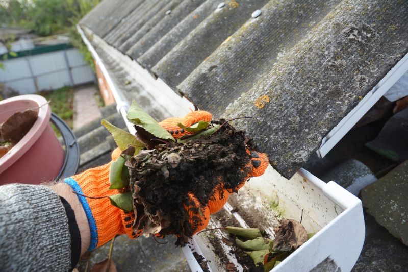 Gutter Pine Needle Removal in Rochester, NY